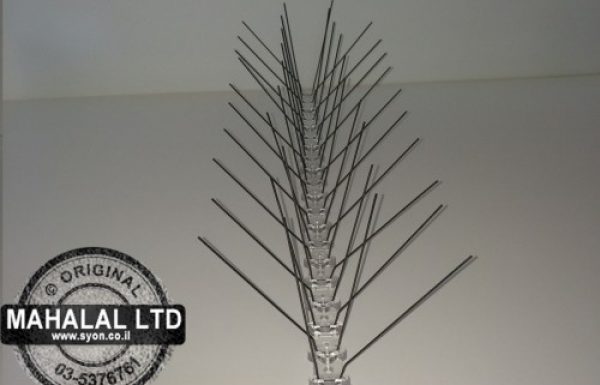 דוקרנים נגד יונים